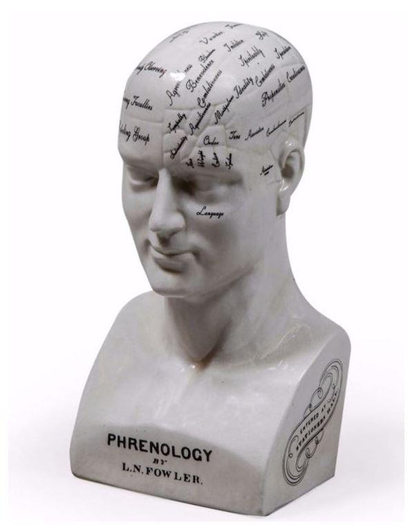 Large Antiqued Ceramic Phrenology Head - EMPORIUM WORTHING