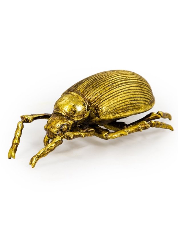 LARGE GOLD BEETLE WALL DECOR - EMPORIUM WORTHING