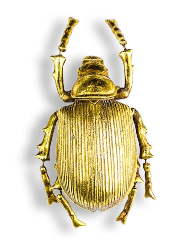 LARGE GOLD BEETLE WALL DECOR - EMPORIUM WORTHING