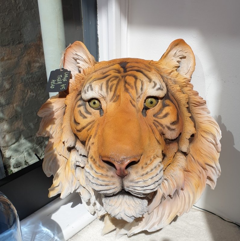 Large Tiger Wall Head - EMPORIUM WORTHING