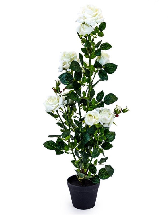 Realistic Tall Rose Plant in a Black Pot, Red or White - EMPORIUM WORTHING