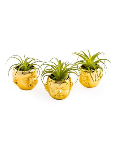 Set of 3 Gold Plated Ceramic Mini Baby Face Pots - EMPORIUM WORTHING